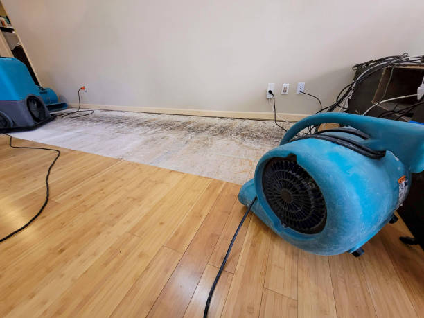 Professional Sewage Cleanup technician working in Parks, AZ
